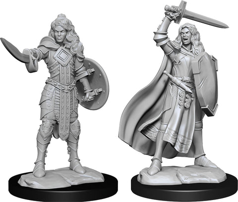 Pathfinder Deep Cuts Unpainted Miniatures: W14 Human Champion Female