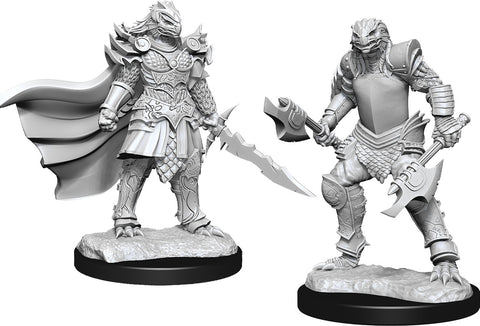 Dungeons & Dragons Nolzur`s Marvelous Unpainted Miniatures: W15 Dragonborn Fighter Female