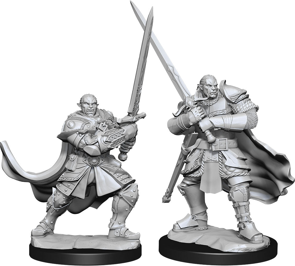 Dungeons & Dragons Nolzur`s Marvelous Unpainted Miniatures: W15 Half-Orc Paladin Male