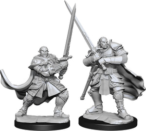 Dungeons & Dragons Nolzur`s Marvelous Unpainted Miniatures: W15 Half-Orc Paladin Male