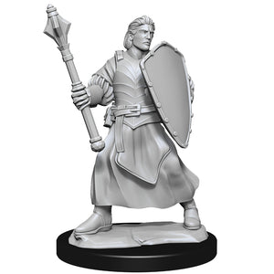 Critical Role Unpainted Miniatures: W1 Human Clovis Concord Cleric Male